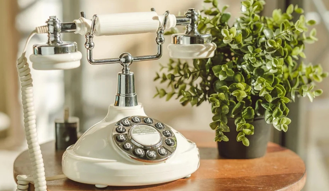 A vintage rotary phone sits on a wooden table beside a lush green potted plant. Audio Guestbook Rentals.