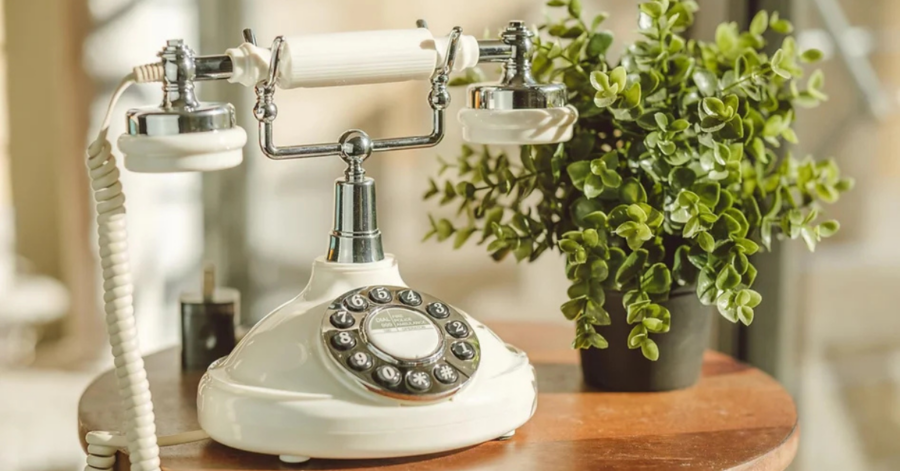 A vintage rotary phone sits on a wooden table beside a lush green potted plant. Audio Guestbook Rentals.